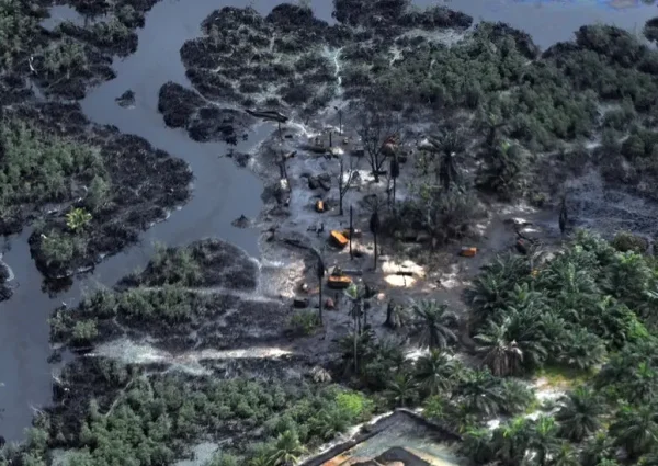 NIGER-DELTA_88785749_gettyimages-164988392